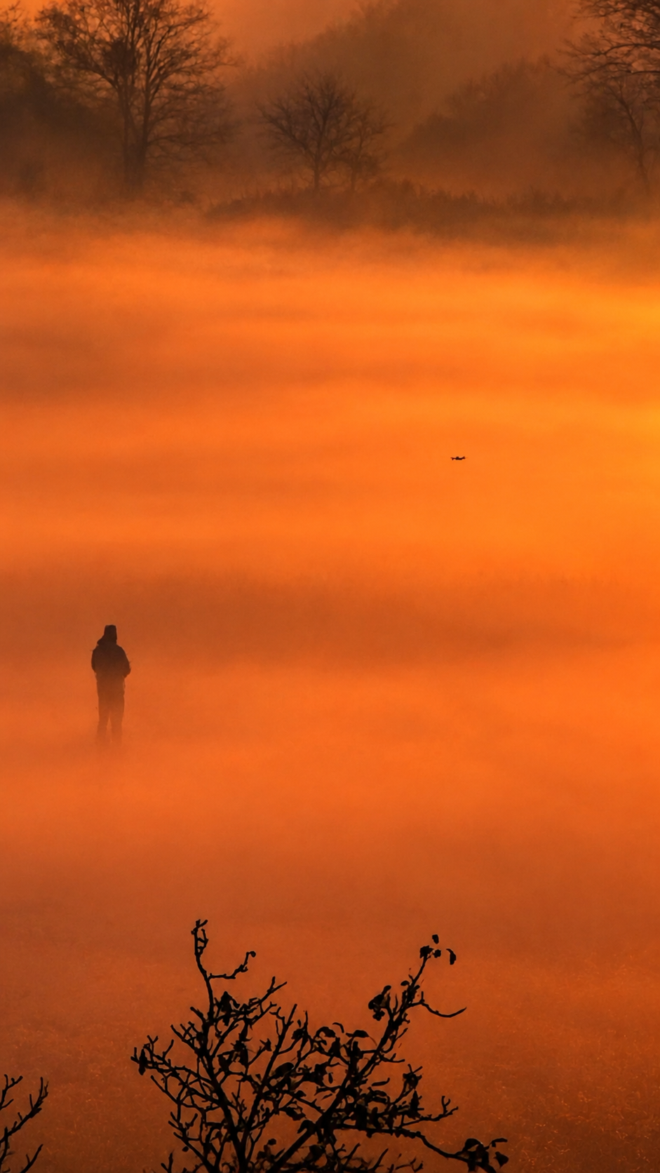 Morning mist landscape